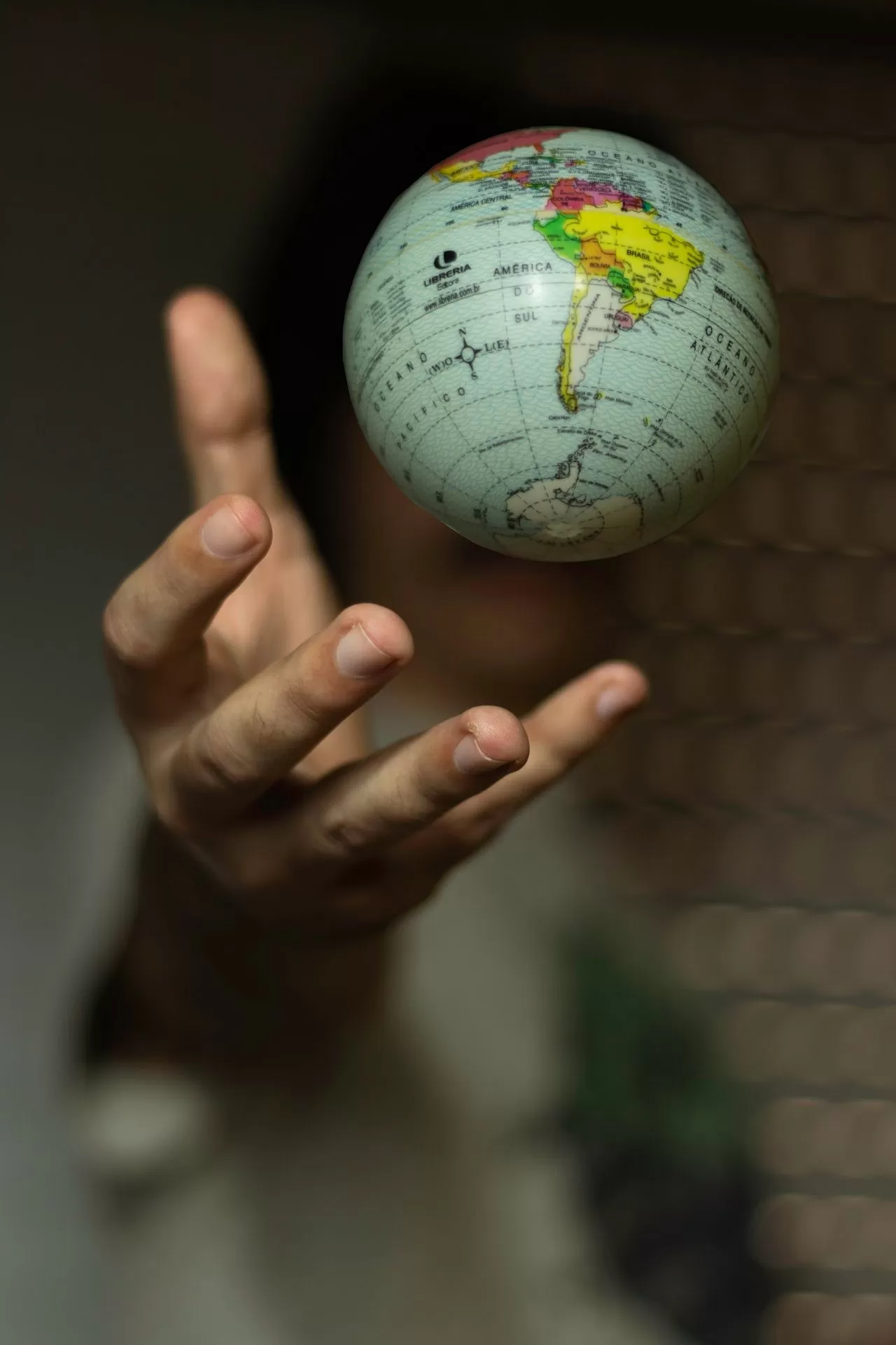 The Global Higher Education